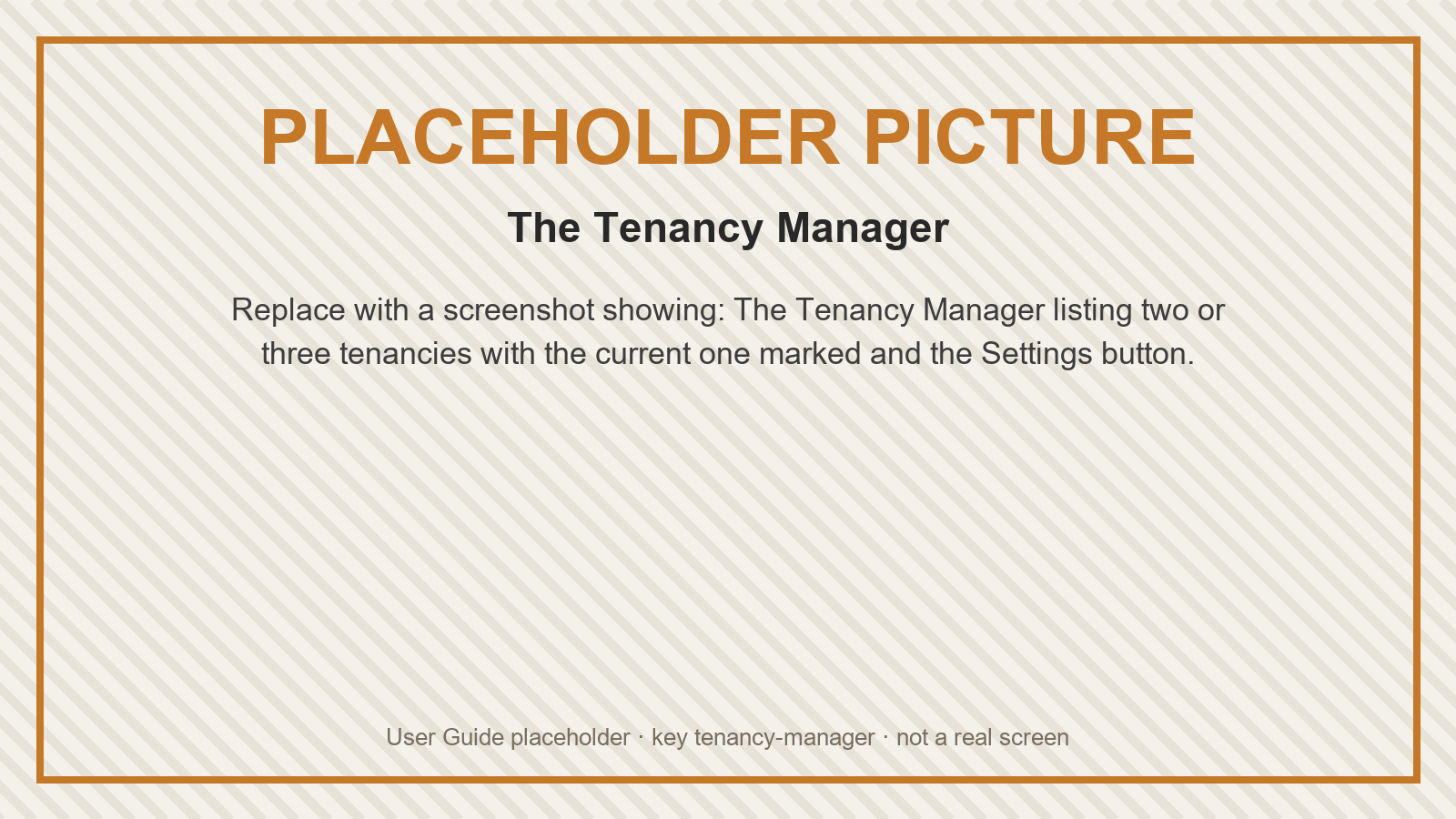 Placeholder: The Tenancy Manager