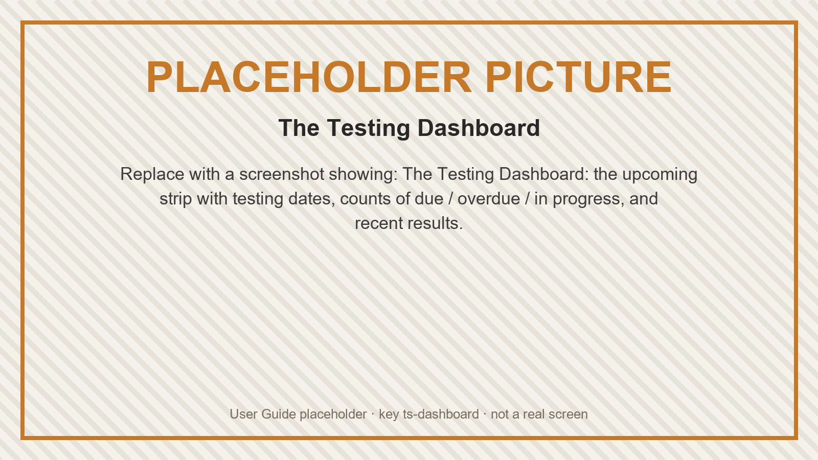 Placeholder: The Testing Dashboard