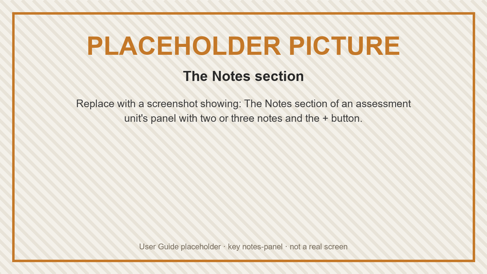 Placeholder: The Notes section
