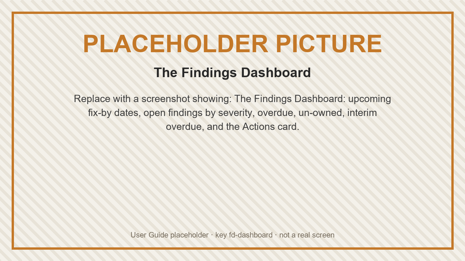 Placeholder: The Findings Dashboard