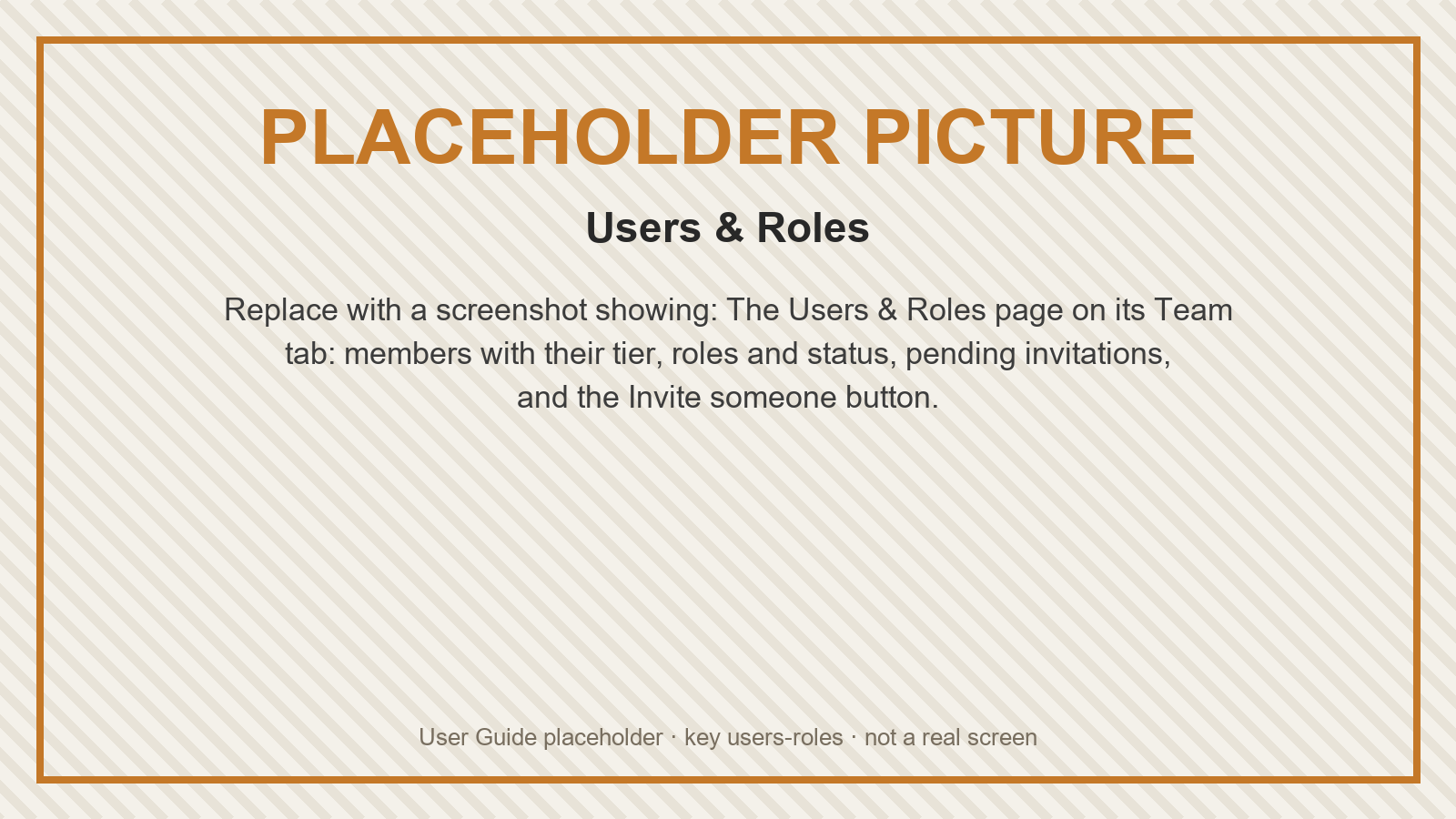 Placeholder: Users & Roles