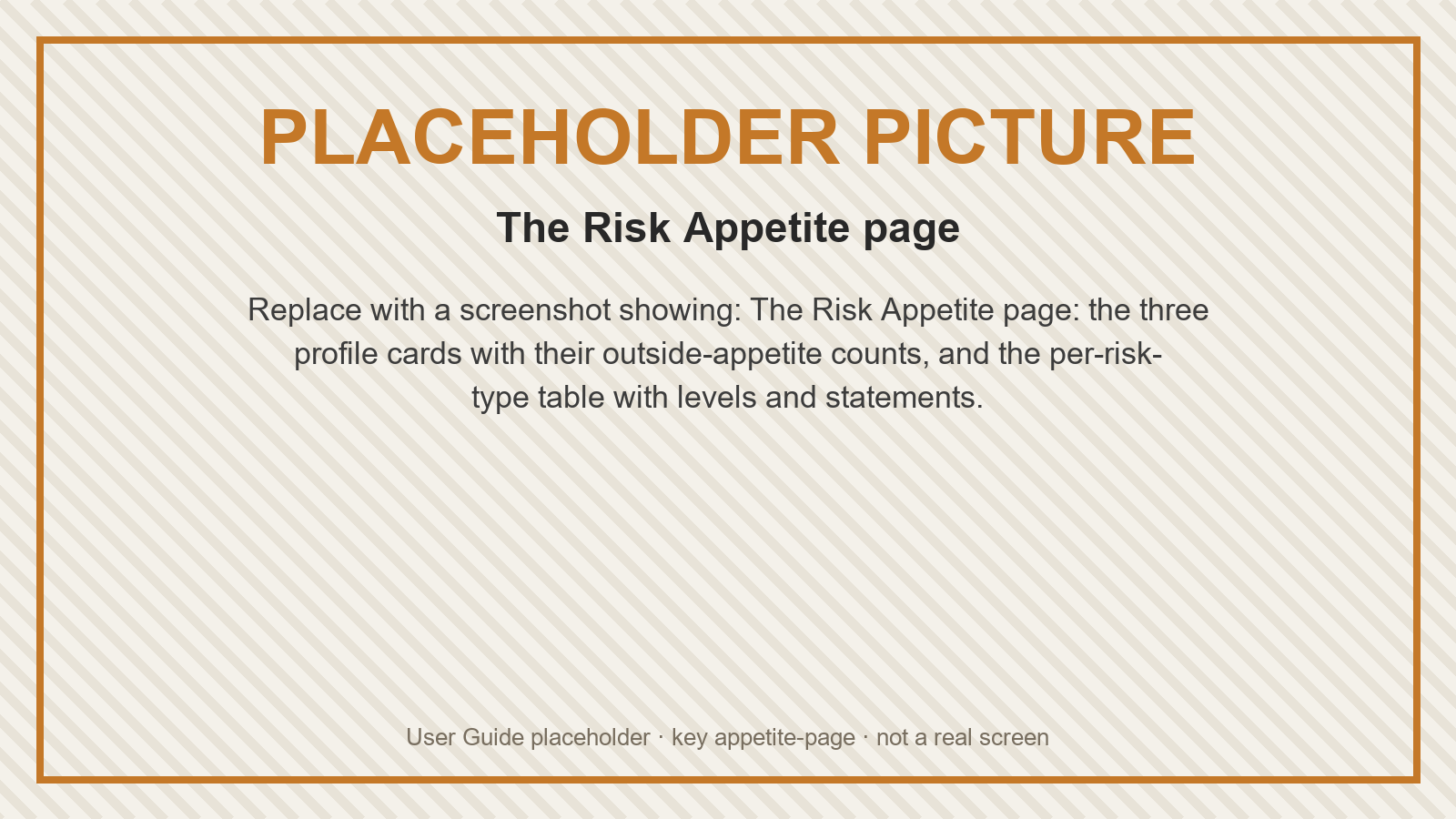 Placeholder: The Risk Appetite page
