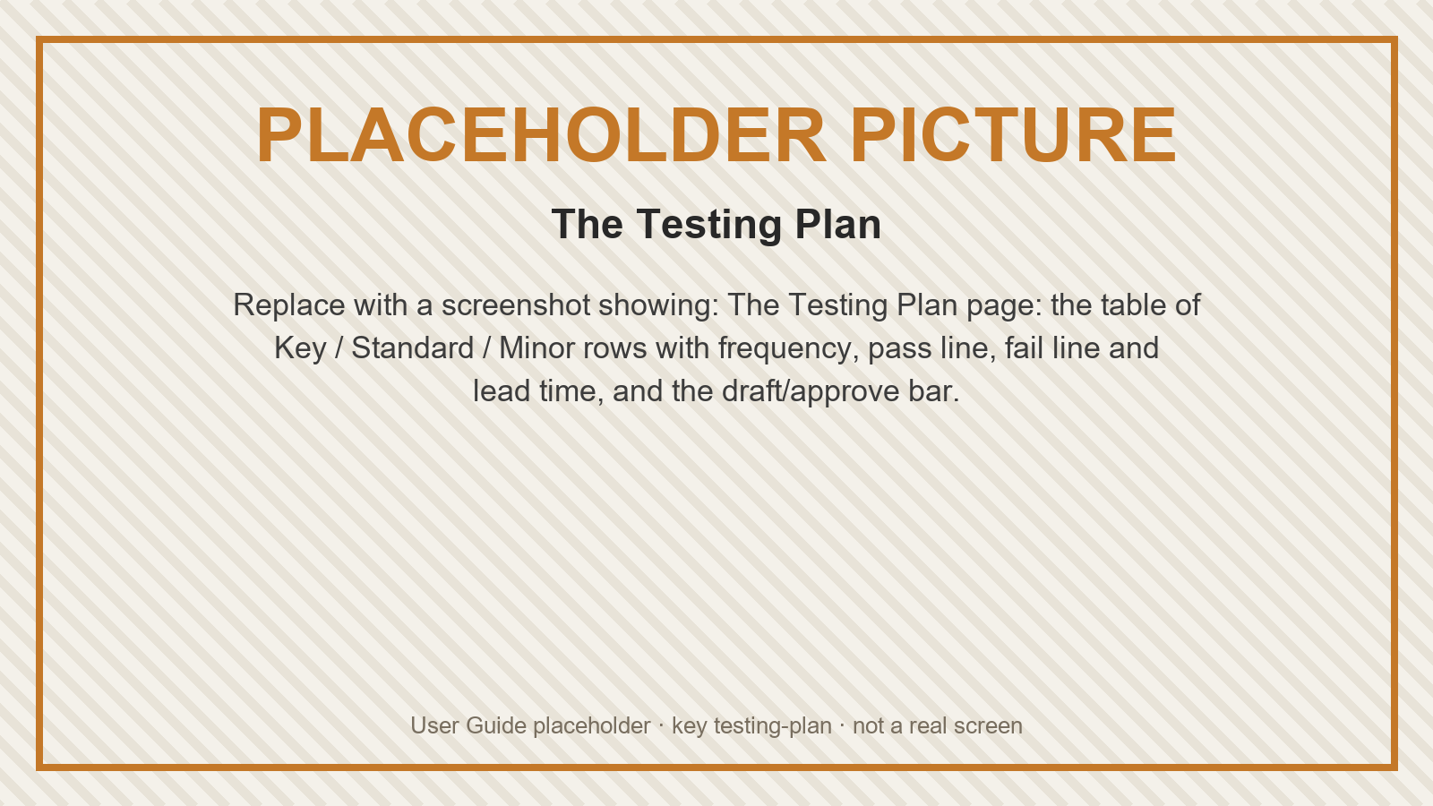 Placeholder: The Testing Plan