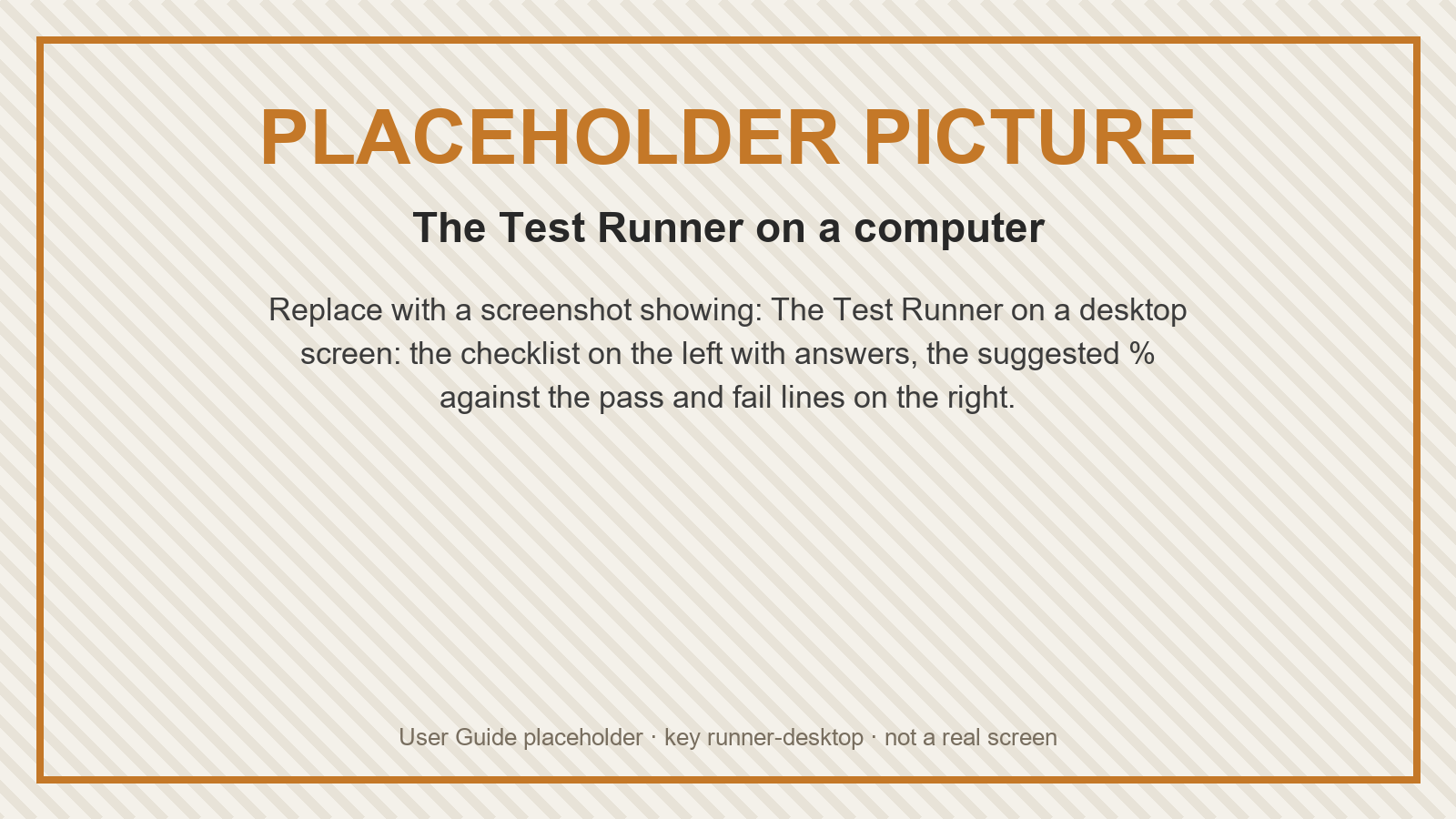 Placeholder: The Test Runner on a computer