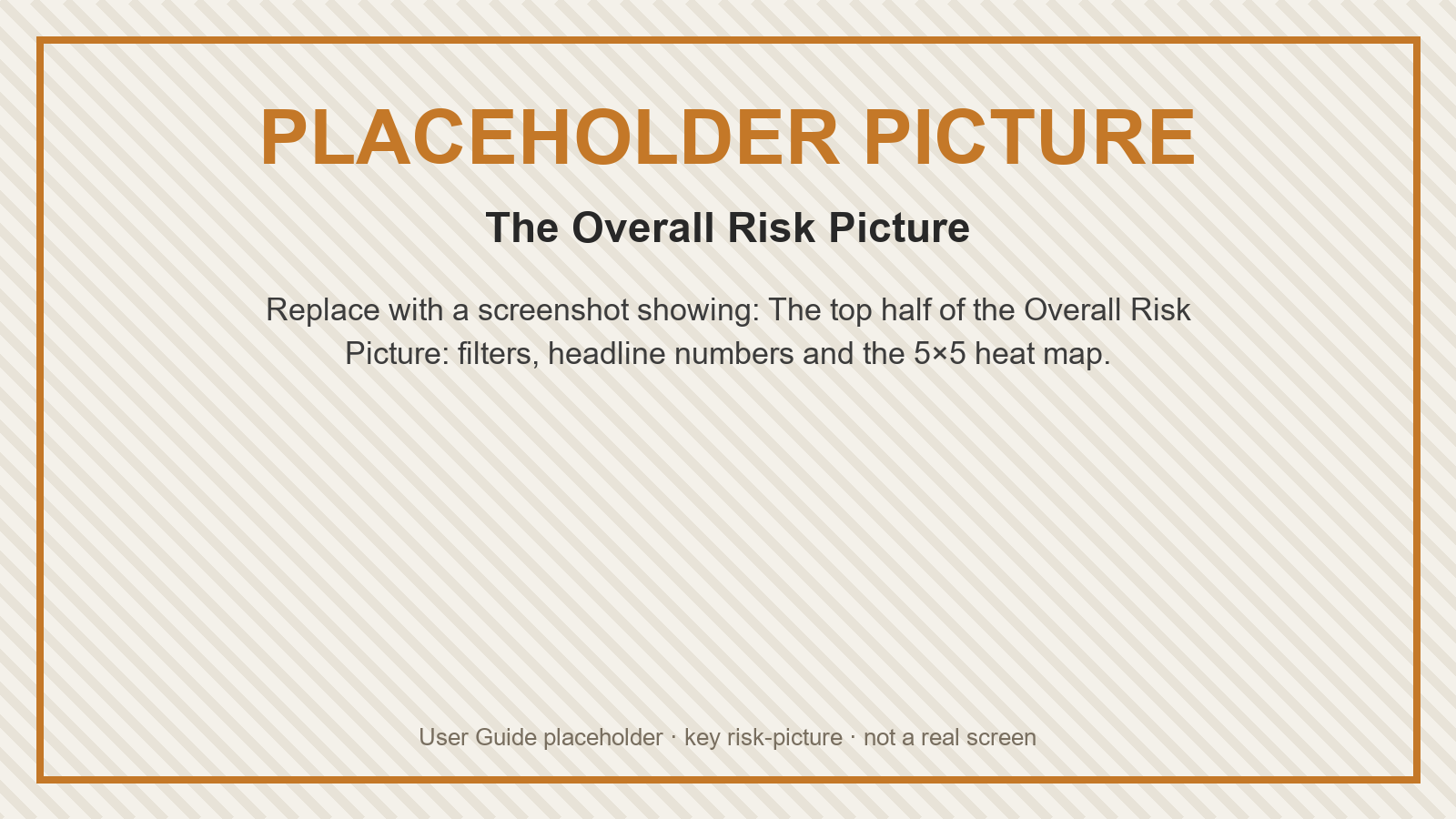 Placeholder: The Overall Risk Picture